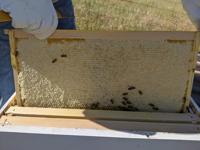 Intro to Bee Keeping.  The 3rd Tuesday of each month up until January when the 6 month series starts.