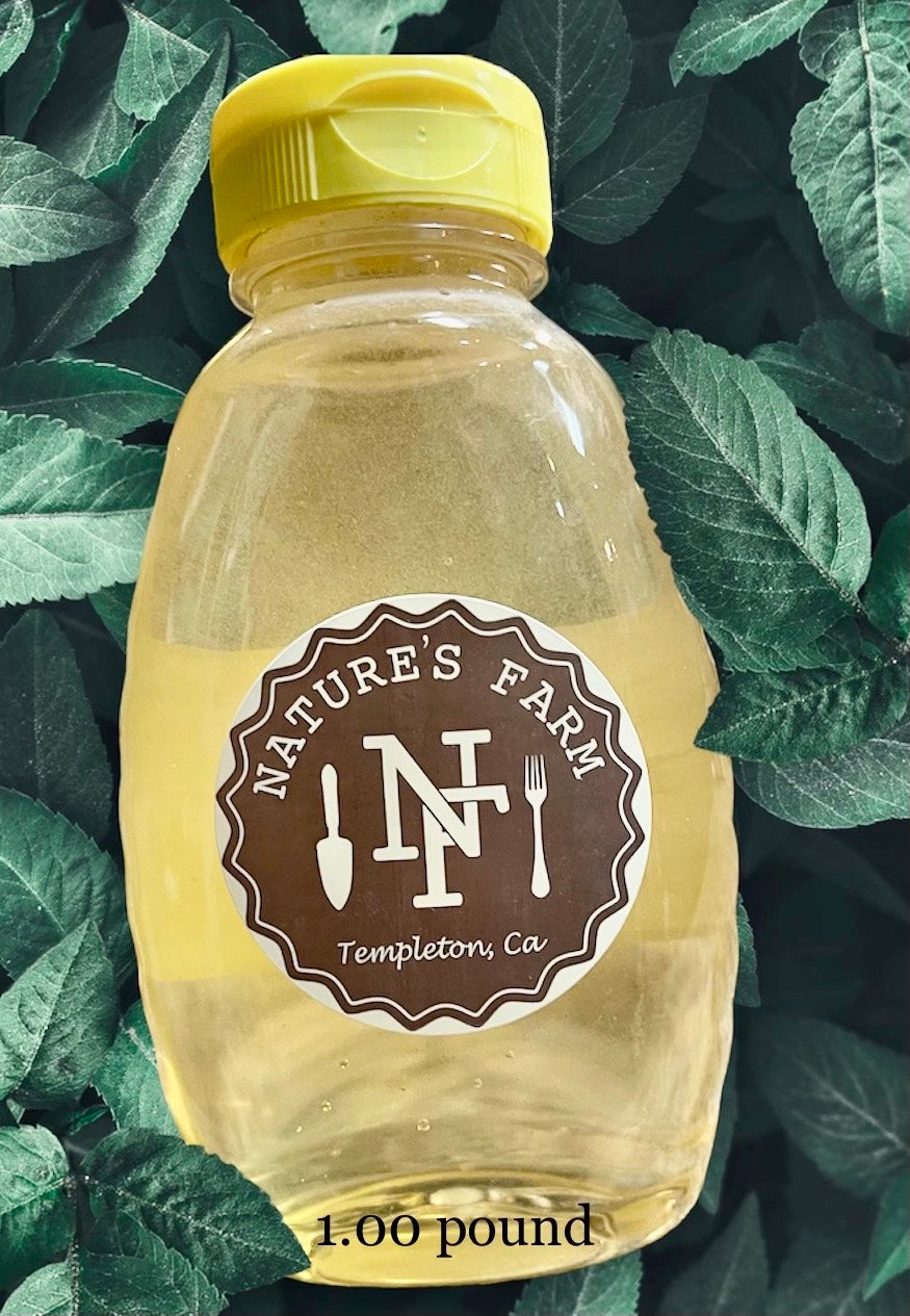 Nature's Farm Honey - Medium BPA Free plastic squeeze top
