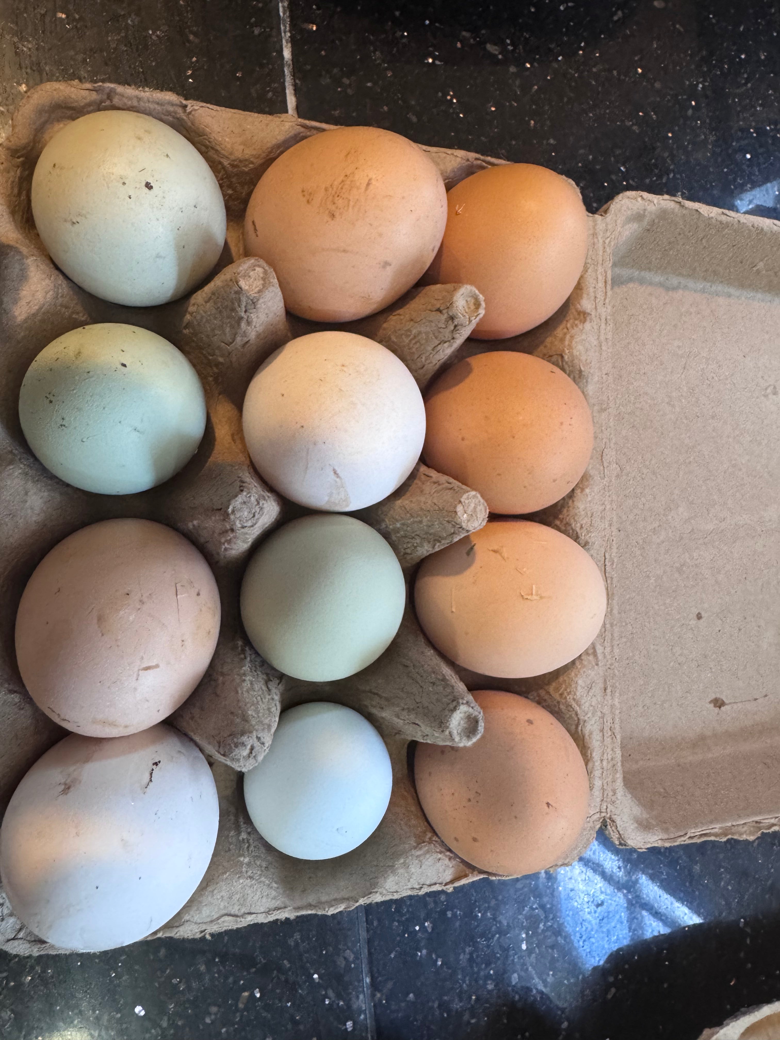 Farm-fresh products from Nature’s Touch