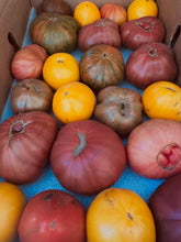 Load image into Gallery viewer, Tomato - MIxed Heirloom Organic Sold By the Pound