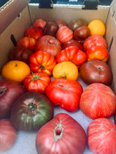 Load image into Gallery viewer, Tomato - MIxed Heirloom Organic Sold By the Pound